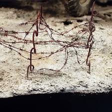 AK-Interactive: (Texture) TERRAINS DRY GROUND - 250ml (Acrylic)