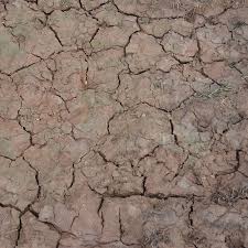 AK Interactive: (Texture) WET CRACKLE EFFECTS - 100ml (Acrylic)