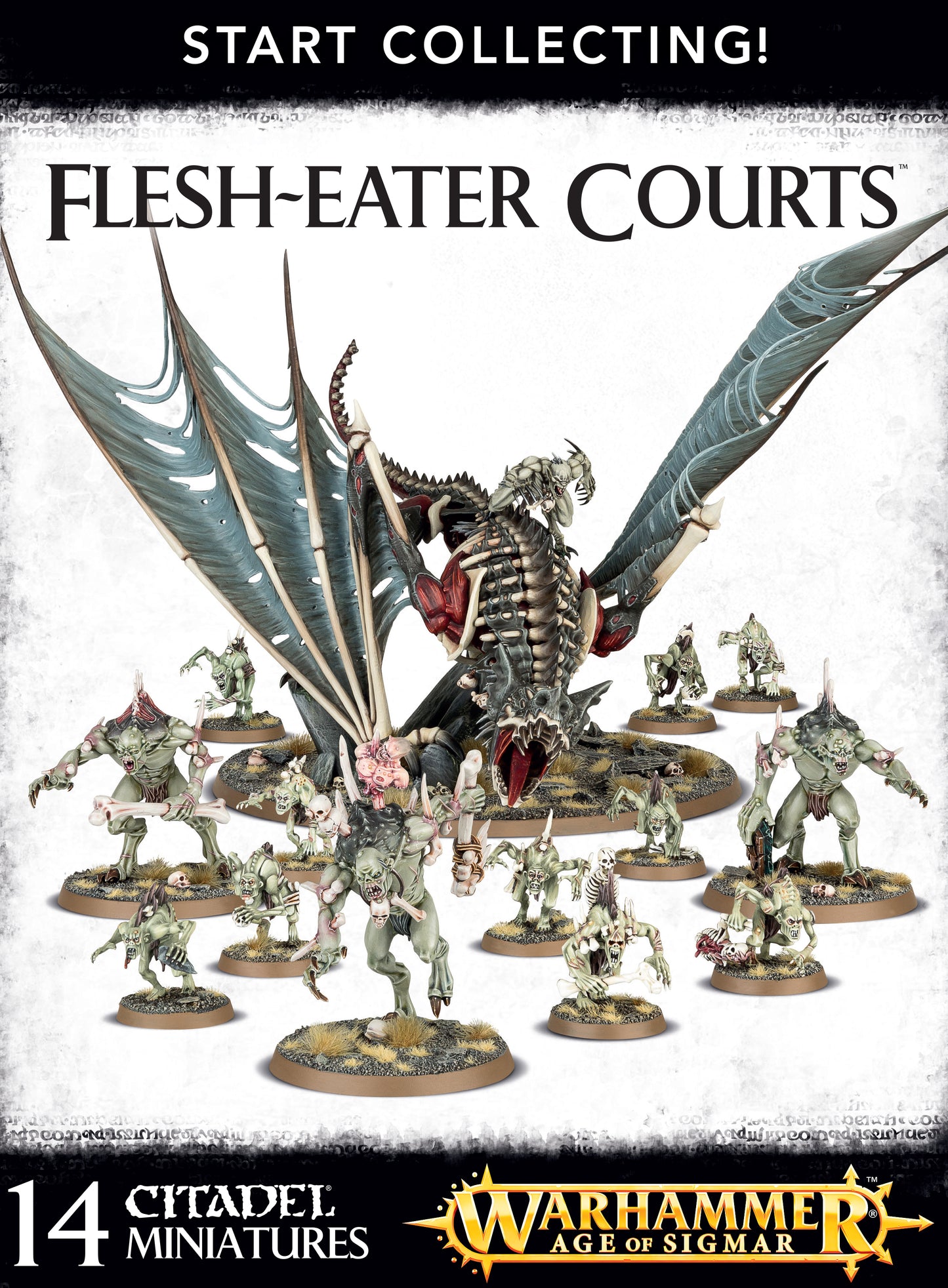 AOS - Age of Sigmar: Start Collecting Flesh-Eater Courts