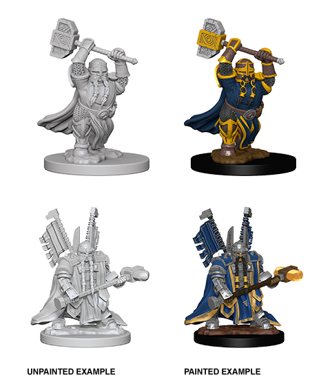 D&D Nolzur's Marvelous Unpainted Minis: W4 Male Dwarf Paladin