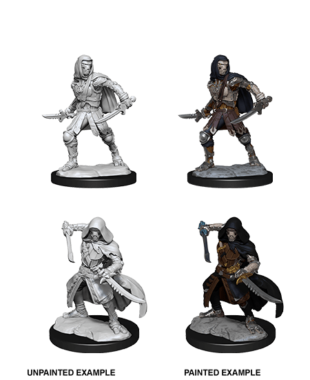 D&D Nolzur’s Marvelous Miniatures: W14 - Warforged Rogue