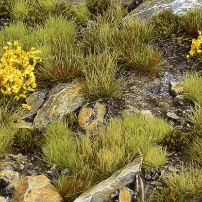 Highland Wild Tufts Set