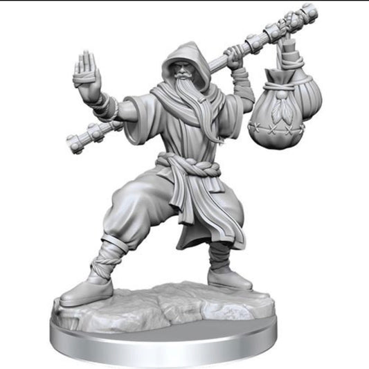 D&D Frameworks Human Monk