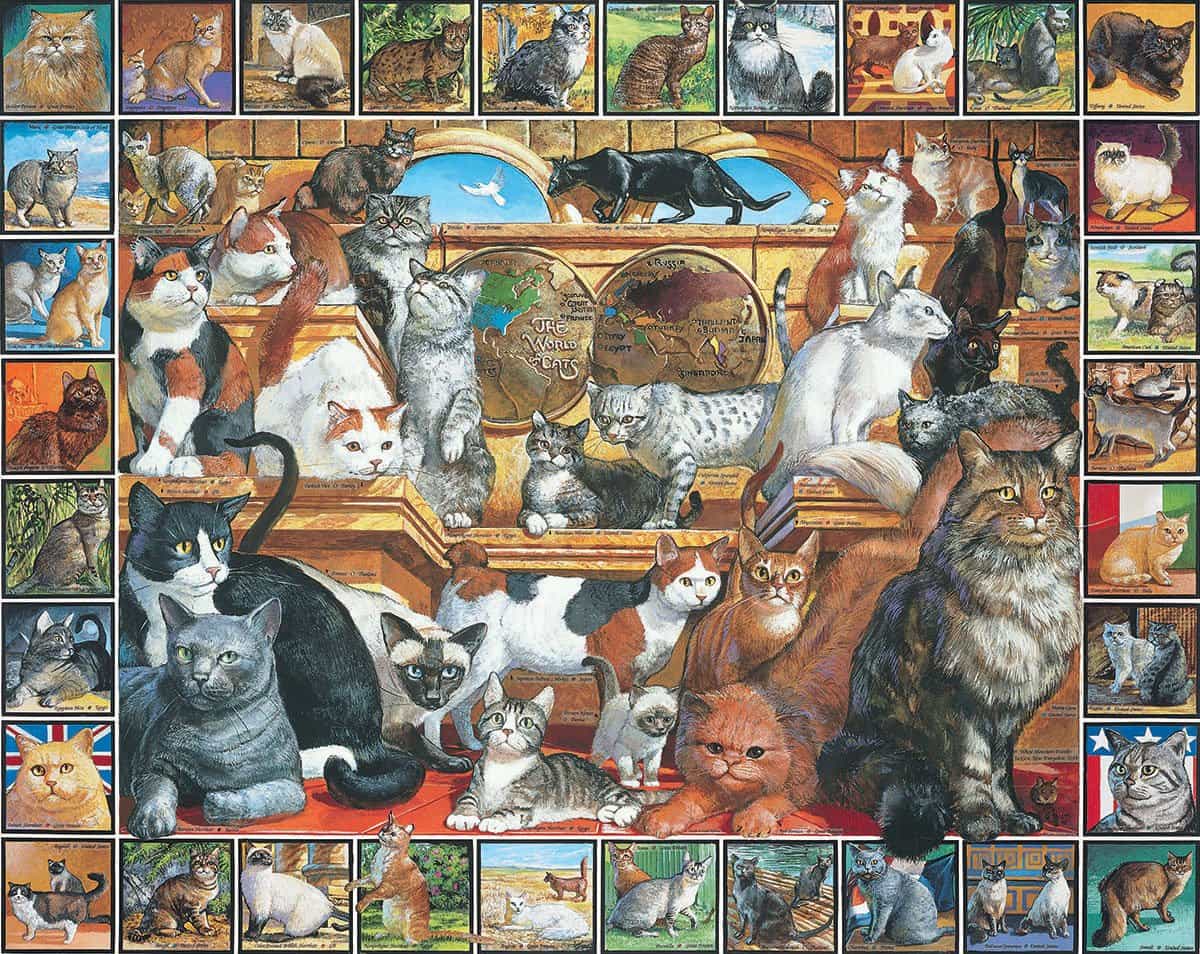 Puzzles - The World of Cats (1000 pieces)