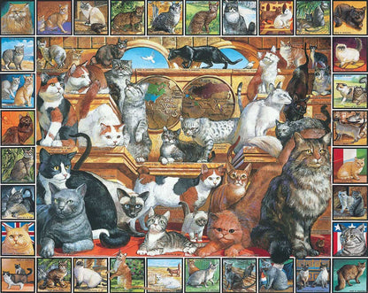 Puzzles - The World of Cats (1000 pieces)