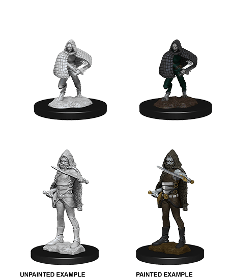 D&D Nolzur's Marvelous Unpainted Minis: W13 Darkling Elder & Darklings