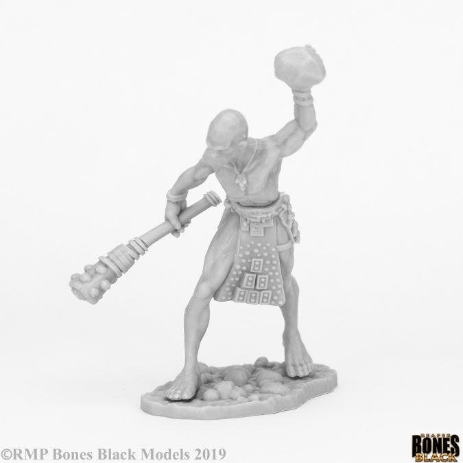 Stone Giant Guard