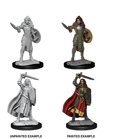 Deep Cuts Unpainted Miniatures: W14 - Female Human Champion