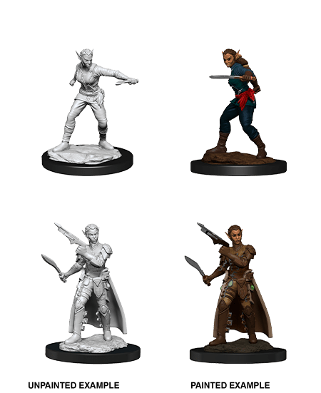 D&D Nolzur’s Marvelous Miniatures: W13 - Shifter Rogue