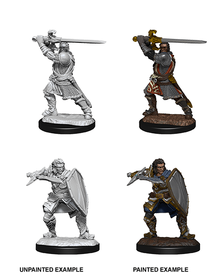 D&D Nolzur’s Marvelous Miniatures: W14 - Human Male Paladin