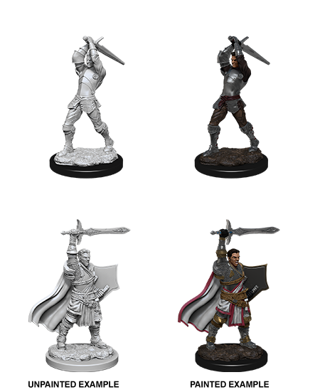 D&D Nolzur’s Marvelous Miniatures: W12 - Male Human Paladin