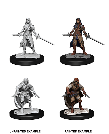 D&D Nolzur’s Marvelous Miniatures: W14 - Half-Elf Rogue Female