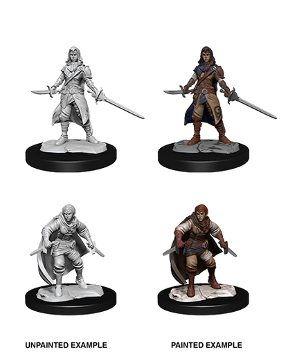 D&D Nolzur’s Marvelous Miniatures: W14 - Half-Elf Rogue Female
