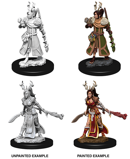 Dungeons & Dragons: Nolzur's Marvelous Unpainted Miniatures - W09 Female Human Druid