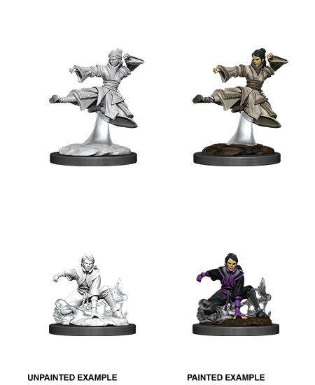 D&D Nolzur's Marvelous Miniatures Human Monk