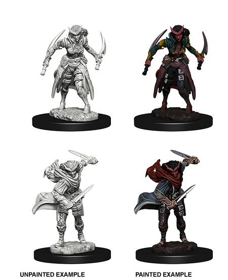 D&D Nolzur’s Marvelous Miniatures: W07 - Tiefling Female Rogue