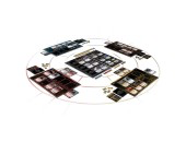 Firefly Misbehavin’