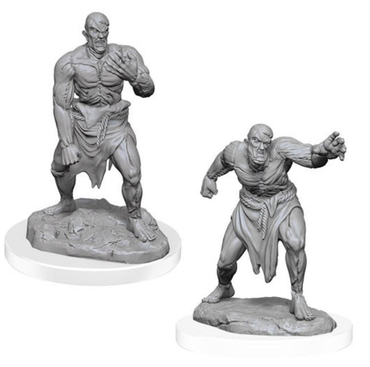 D&D Nolzur's Marvelous Miniatures: W17 - Flesh Golems