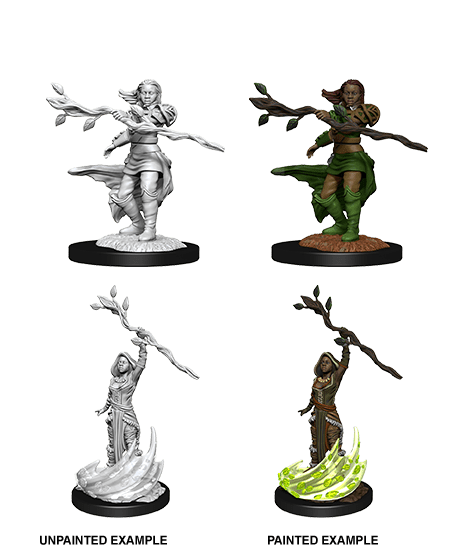 D&D Nolzur’s Marvelous Miniatures: W14 - Human Druid Female