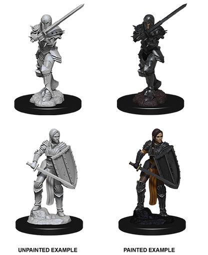D&D Nolzur's Marvelous Miniatures: W09 - Female Human Fighter