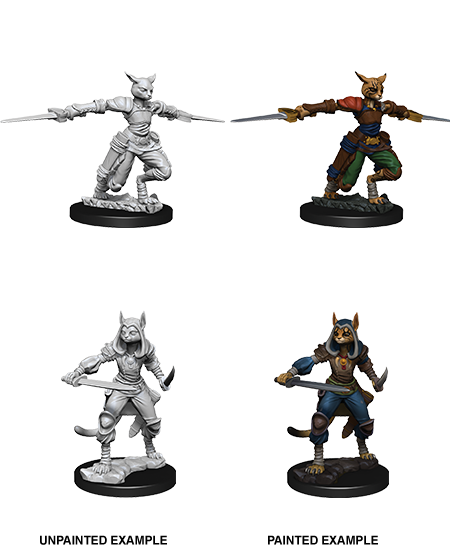 D&D Nolzur’s Marvelous Miniatures: W09 - Female Tabaxi Rogue