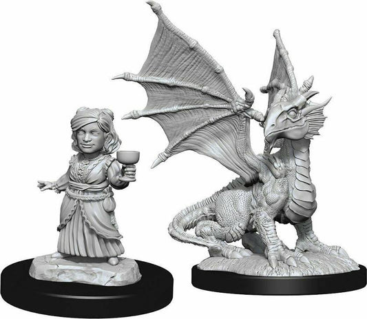 D&D Nolzur’s Marvelous Miniatures: W13 - Silver Dragon Wyrmling & Female Dragon Friend