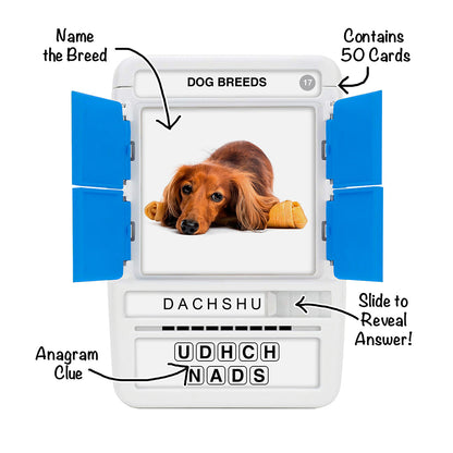 100 Pics - Dog Breeds